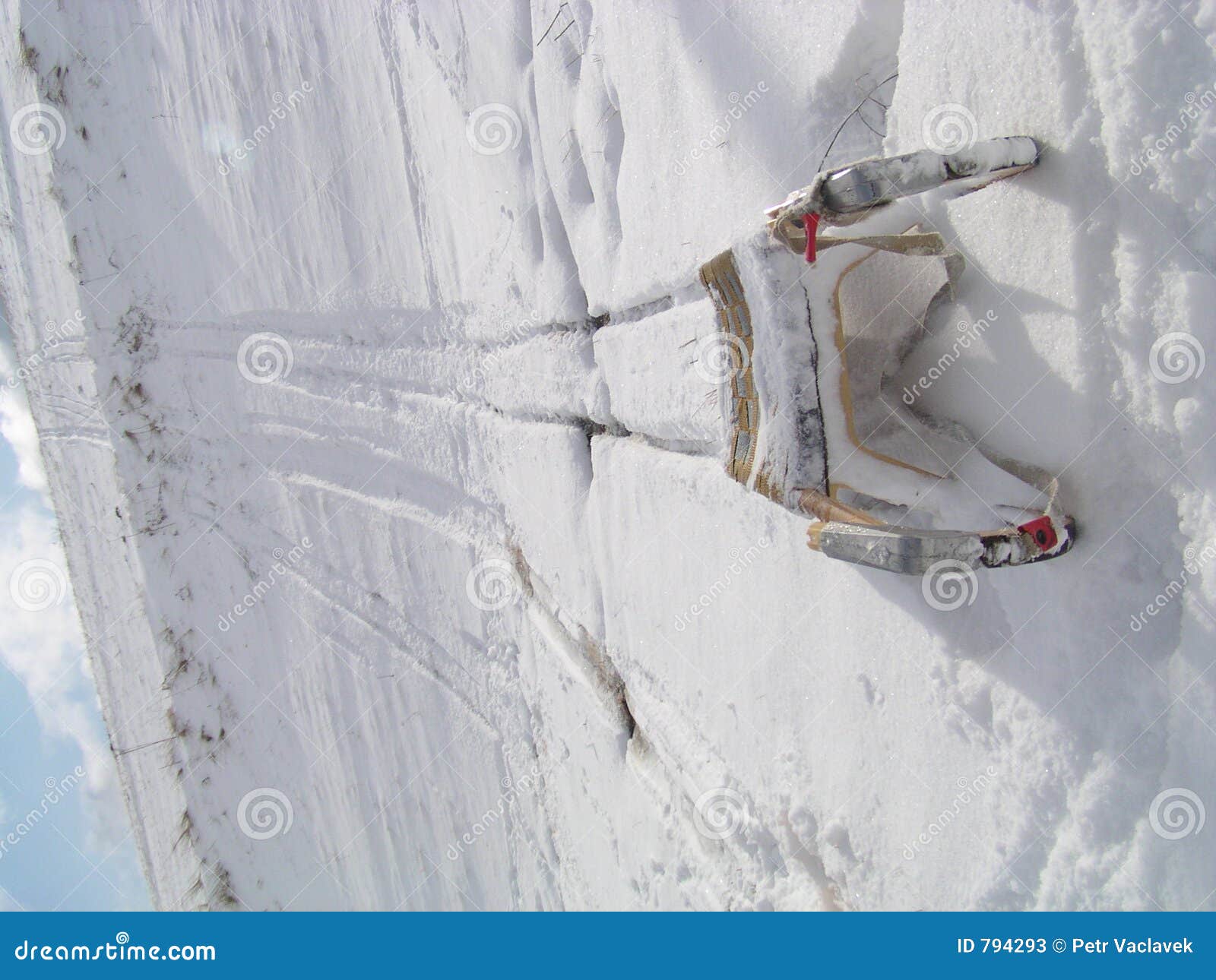 Nebu draadloze Minst Slee op de sneeuw stock afbeelding. Image of sneeuw, slee - 794293