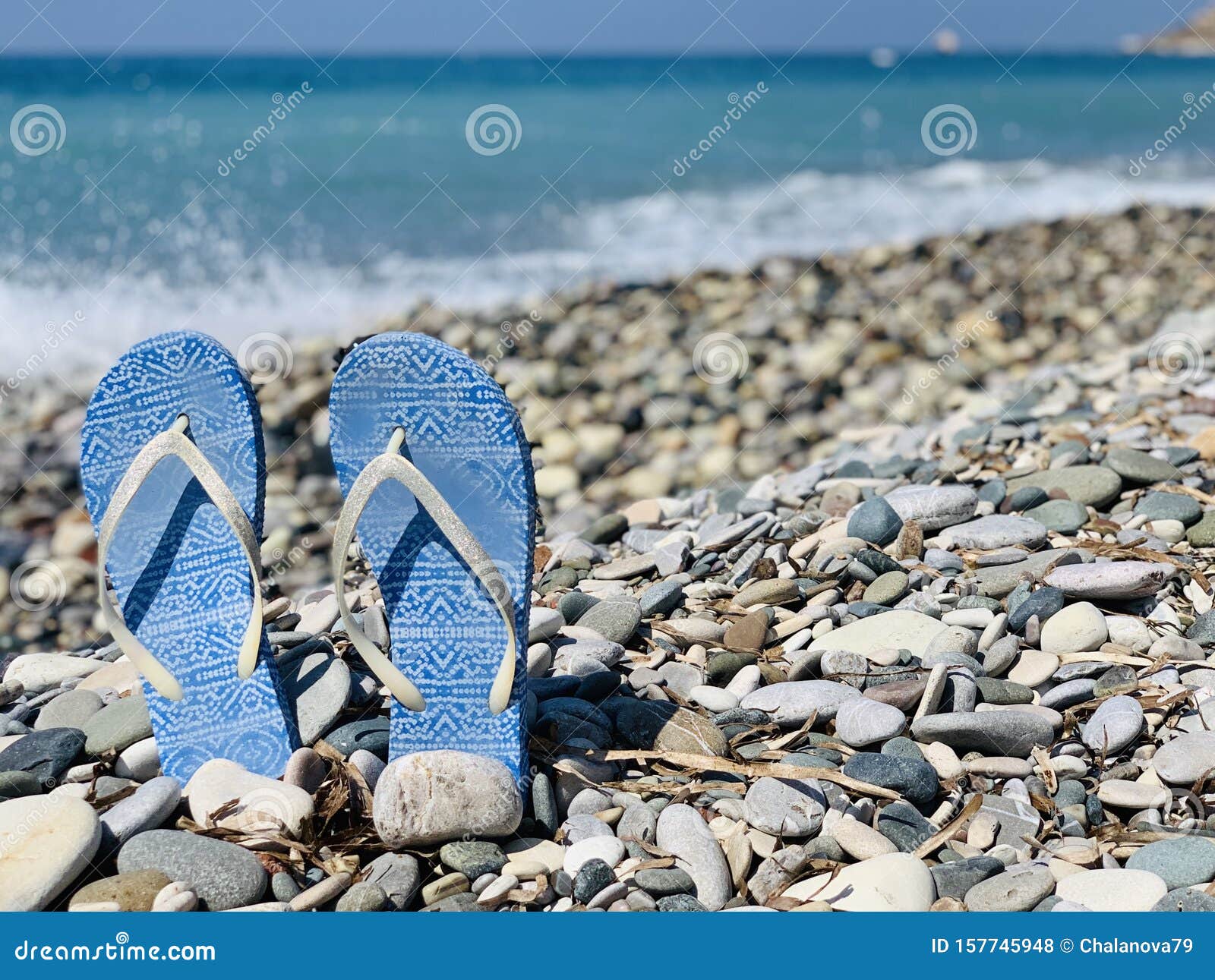 Sleepers on a Pebble Beach in a Summer Outing. Copy Space Stock Photo ...