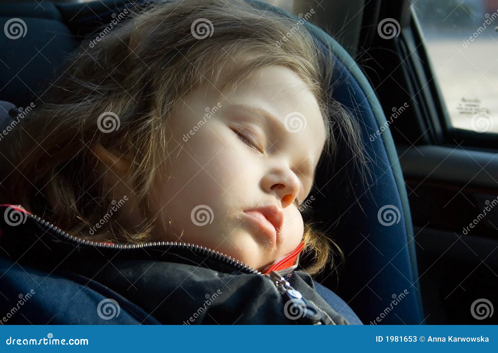 Sleeping stock image. Image of blue, sleep, cute, sleeping - 1981653