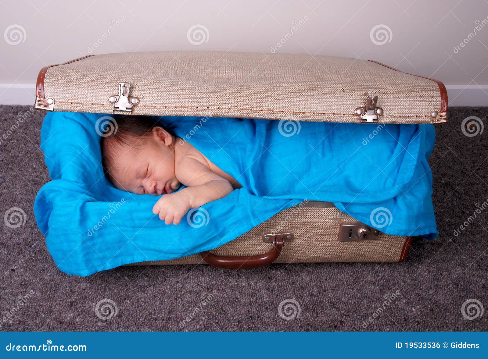 Sleeping baby in suitcase stock photo. Image of portrait 19533536