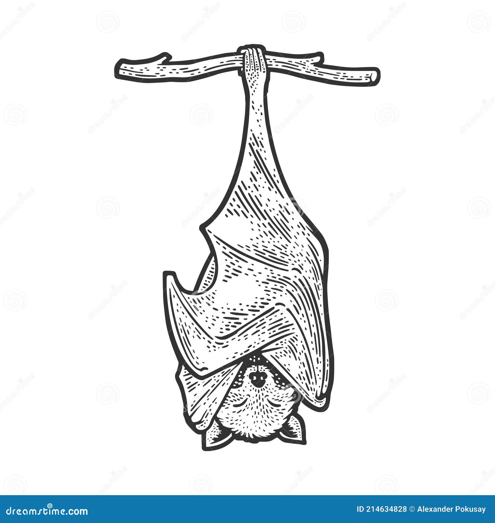 2661 Vampire Bat Tattoo Images Stock Photos  Vectors  Shutterstock