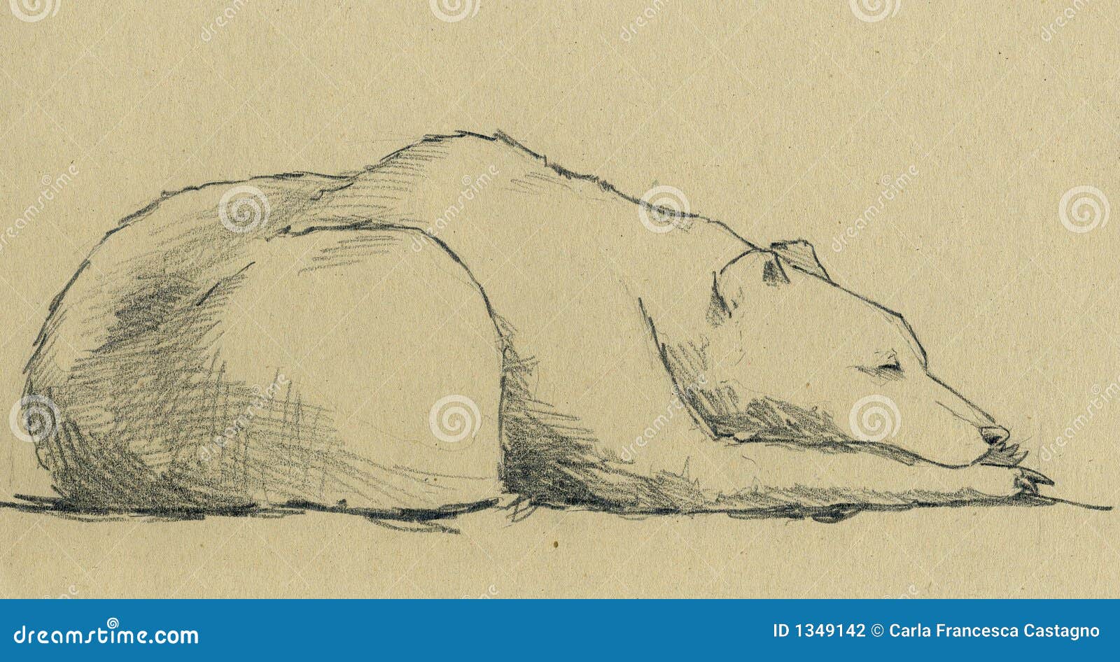 Sleeping Bear Drawings for Sale - Fine Art America