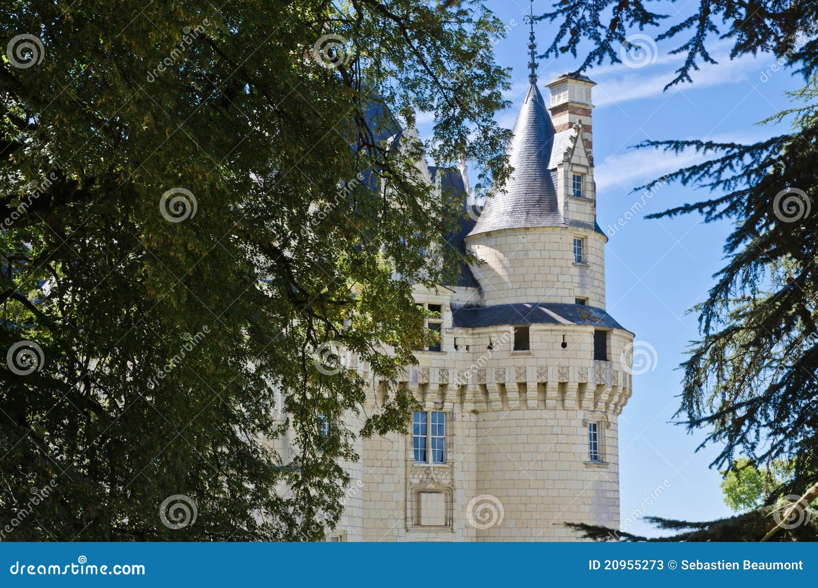 tavern keeper sleeping beauty a.n. tavern keeper sleeping beauty a.n.