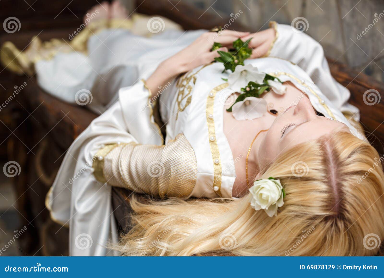 Image result for sleeping beauty stock