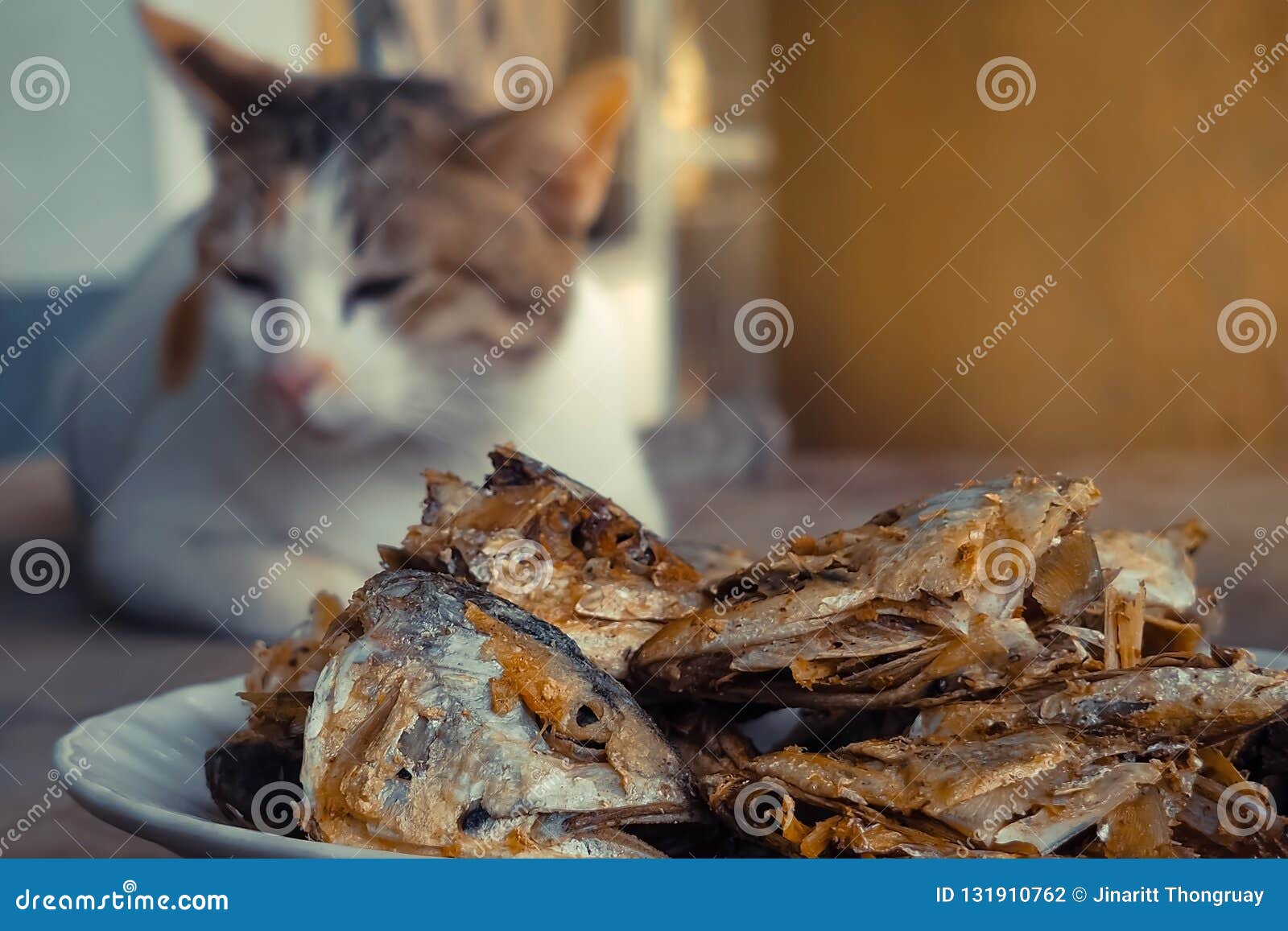 fish with cat head