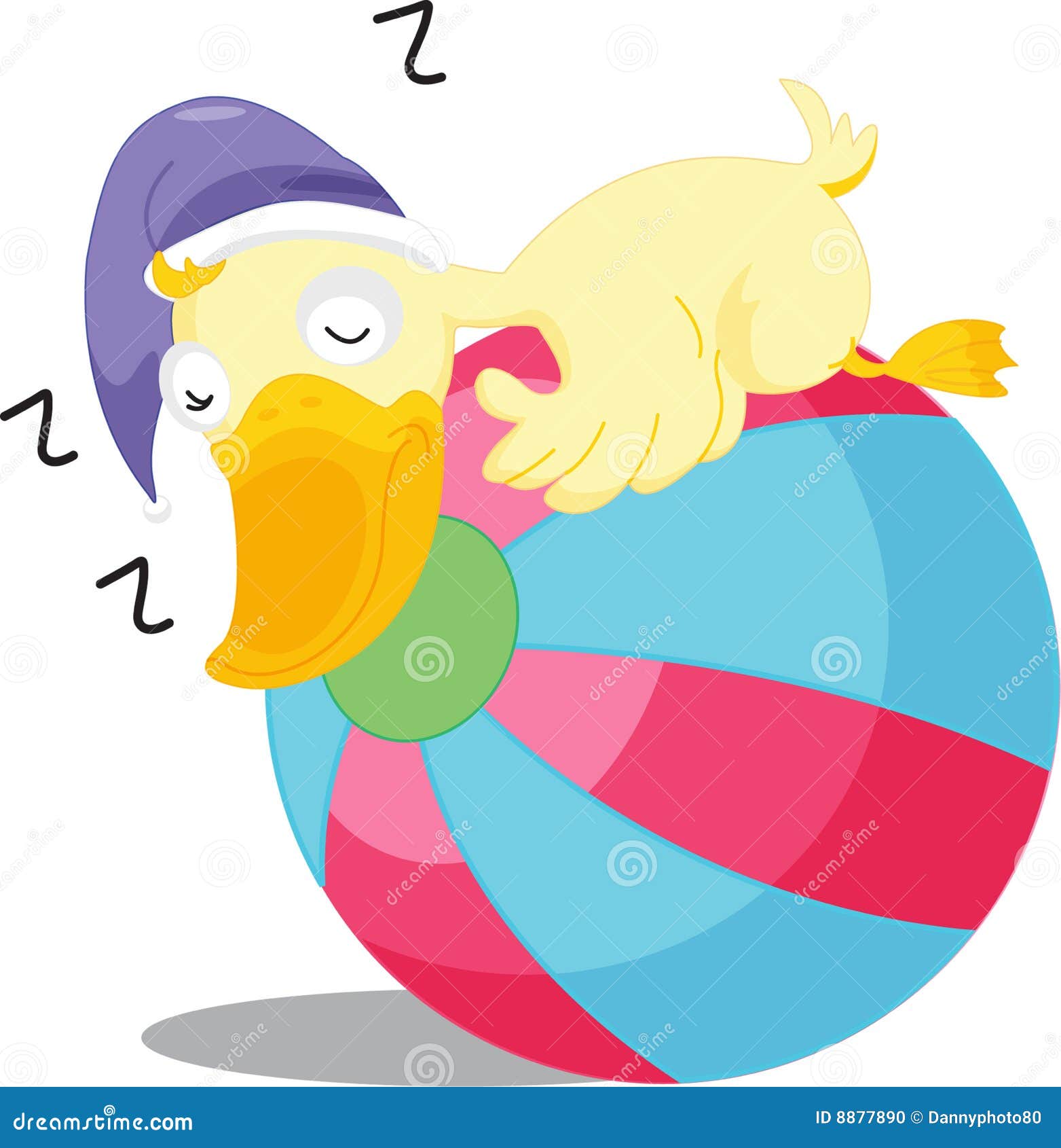 Sleeping Duck Stock Photo Image 8877890