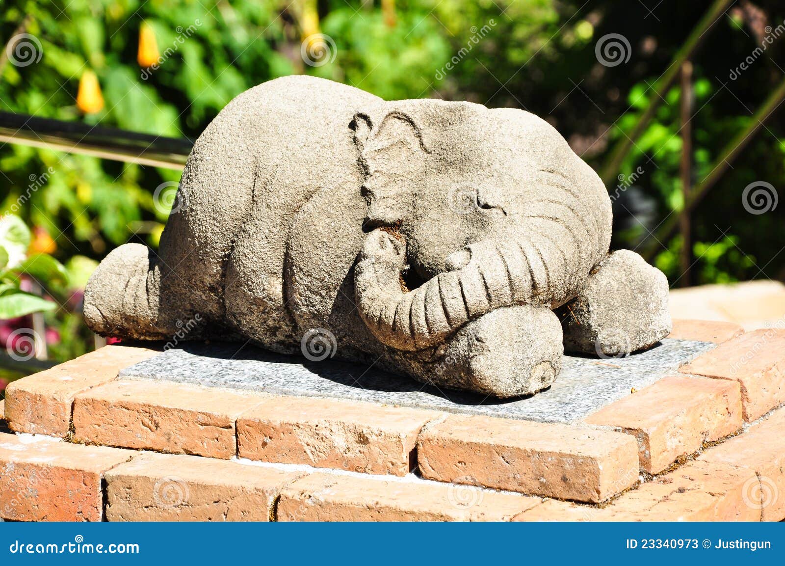 Sleeping Elephant Stock Photos Image 23340973