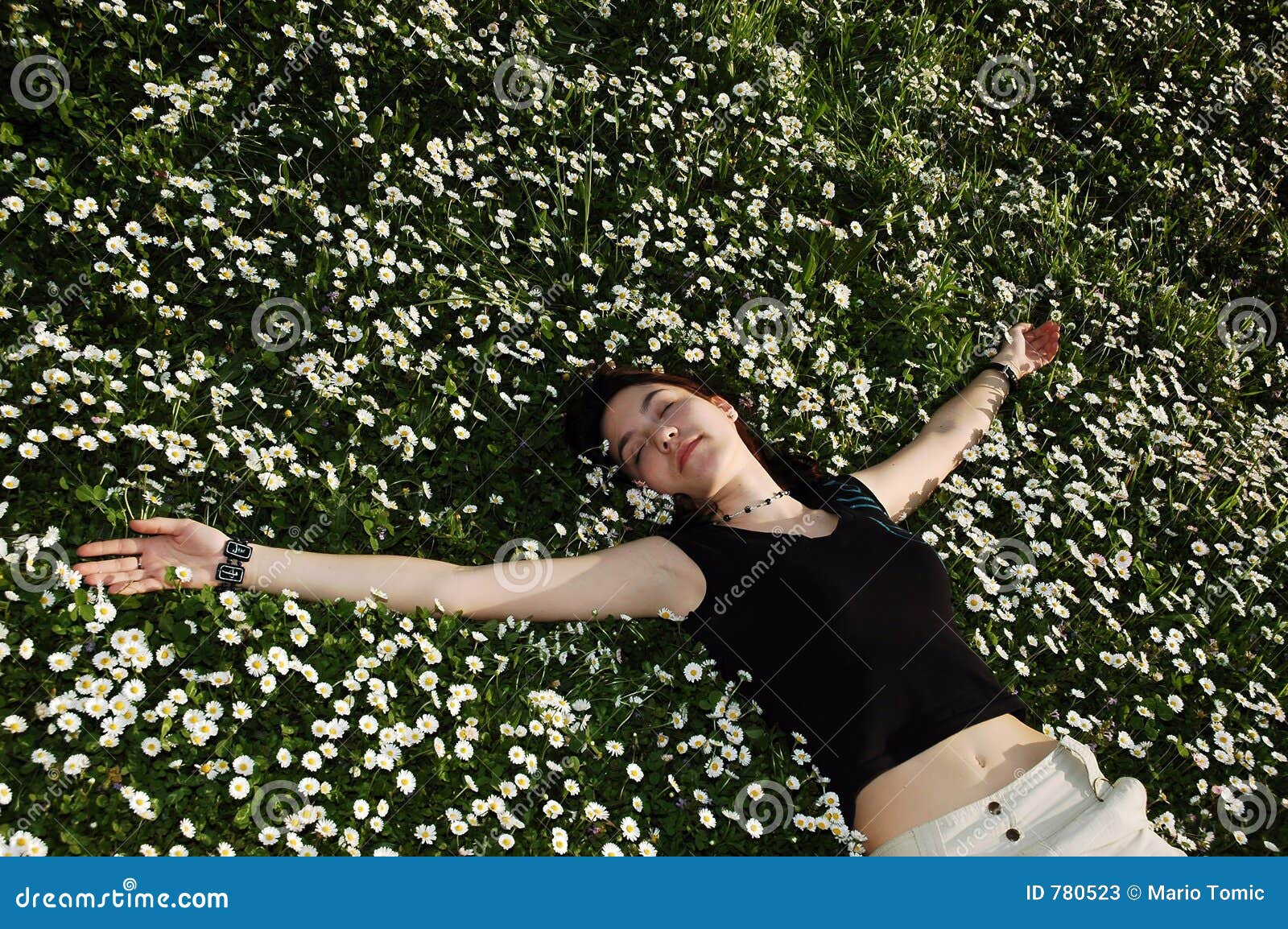 Sleeping the flowers stock image. Image of attractive, beauty 780523