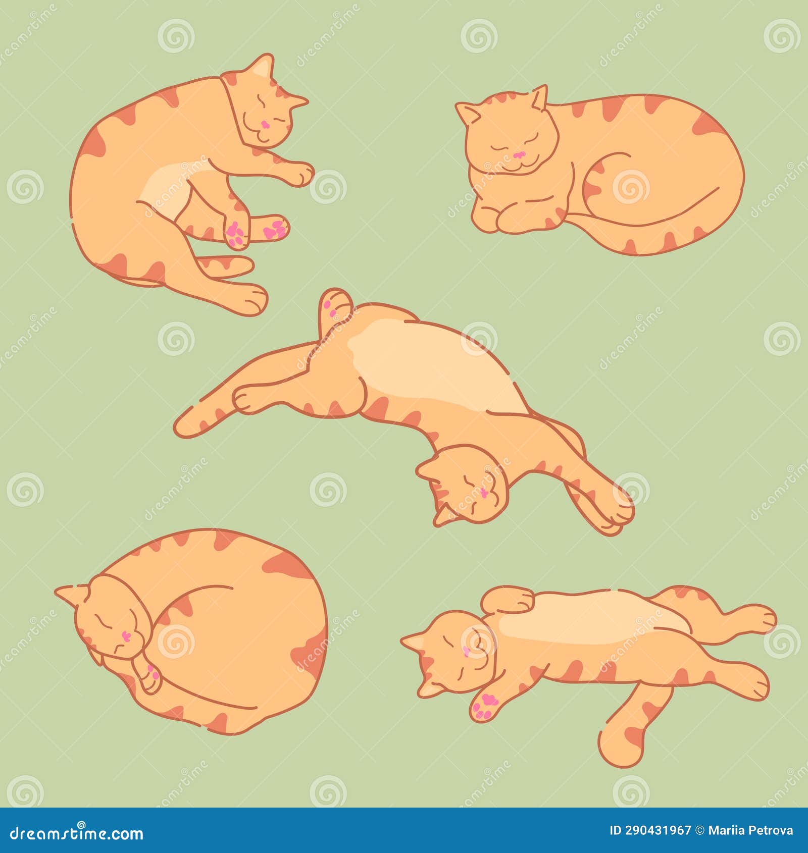 Sleeping Ginger Cat in Different Positions. Cute Red Tabby Cat Sleeps