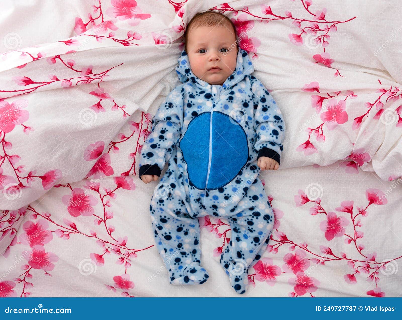 Sleeping Newborn Baby Boy in Bed. Newborn Baby Editorial Photography