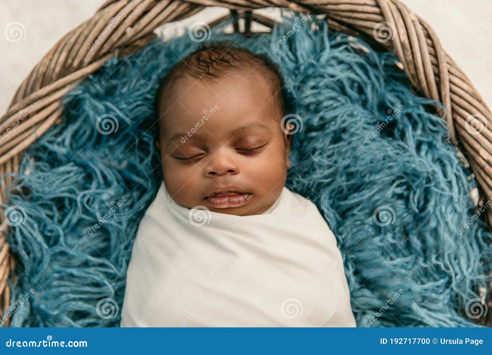 Sleepy Swaddled African American Newborn Baby Boy Stock Photo Image