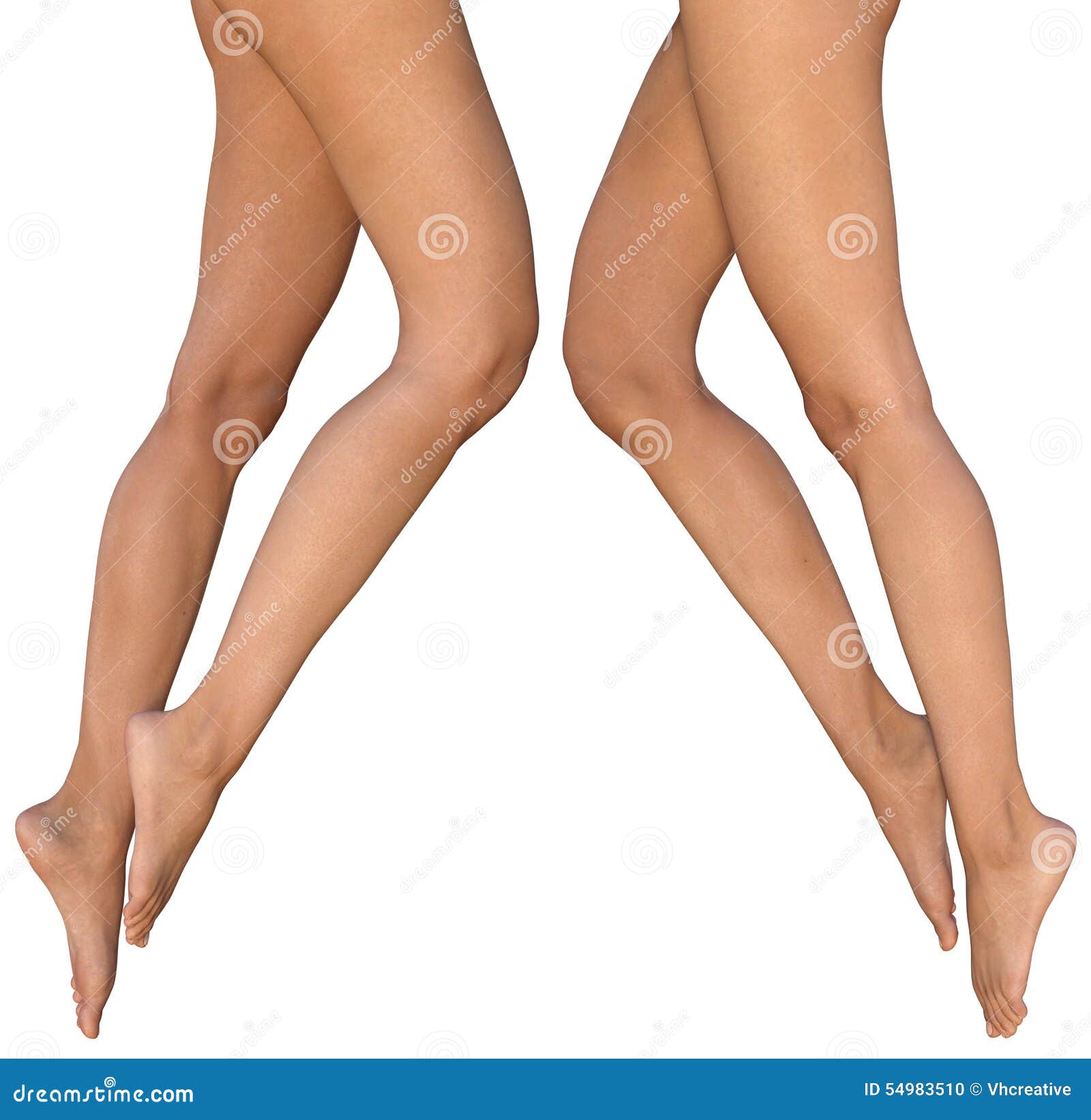 Slender Female Legs with Stretched Out Feet - Left and Right Side Views  Stock Photo - Illustration of limbs, human: 54983510