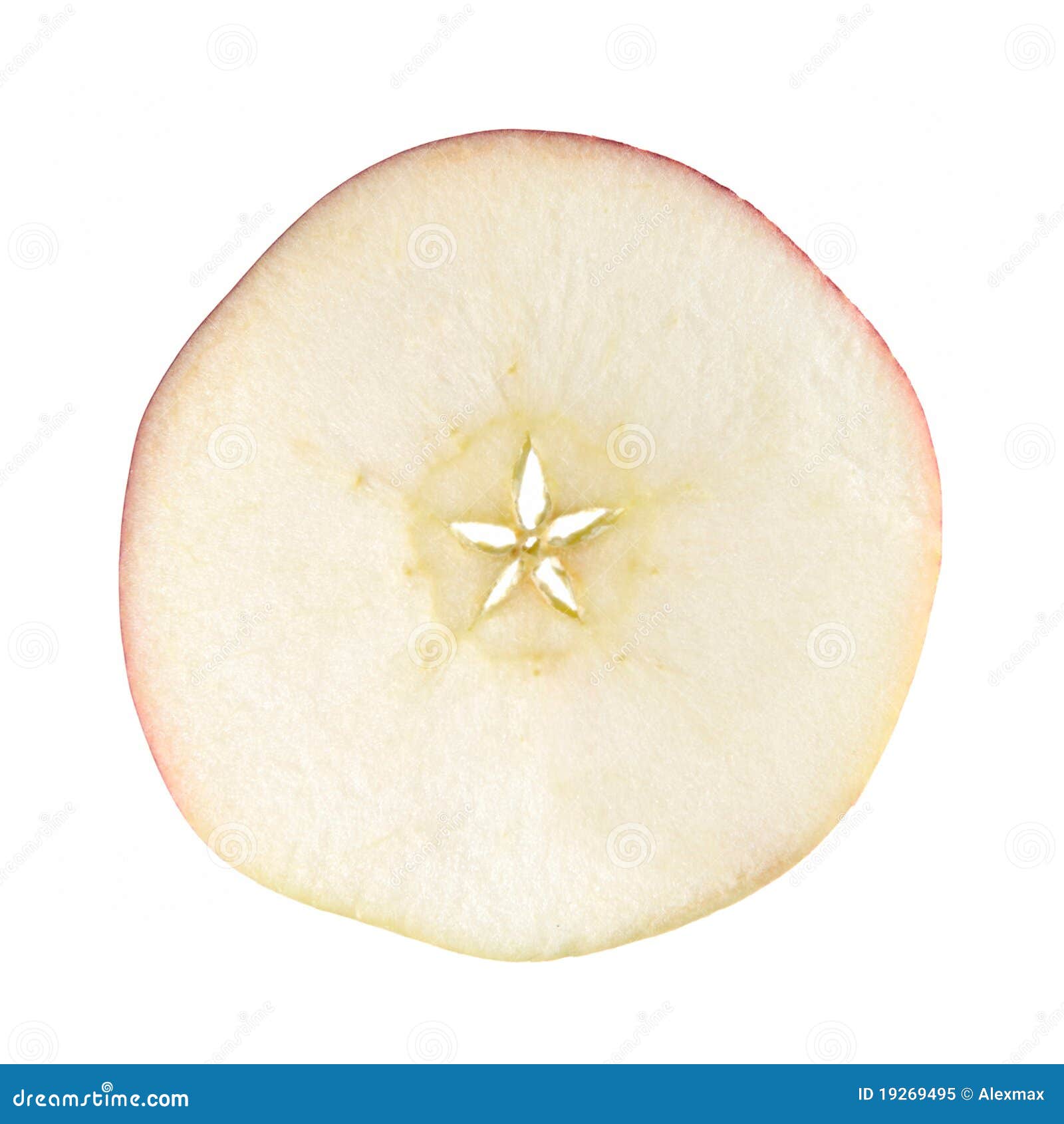 Slice of Apple stock image. Image of slices, food, texture - 19269495