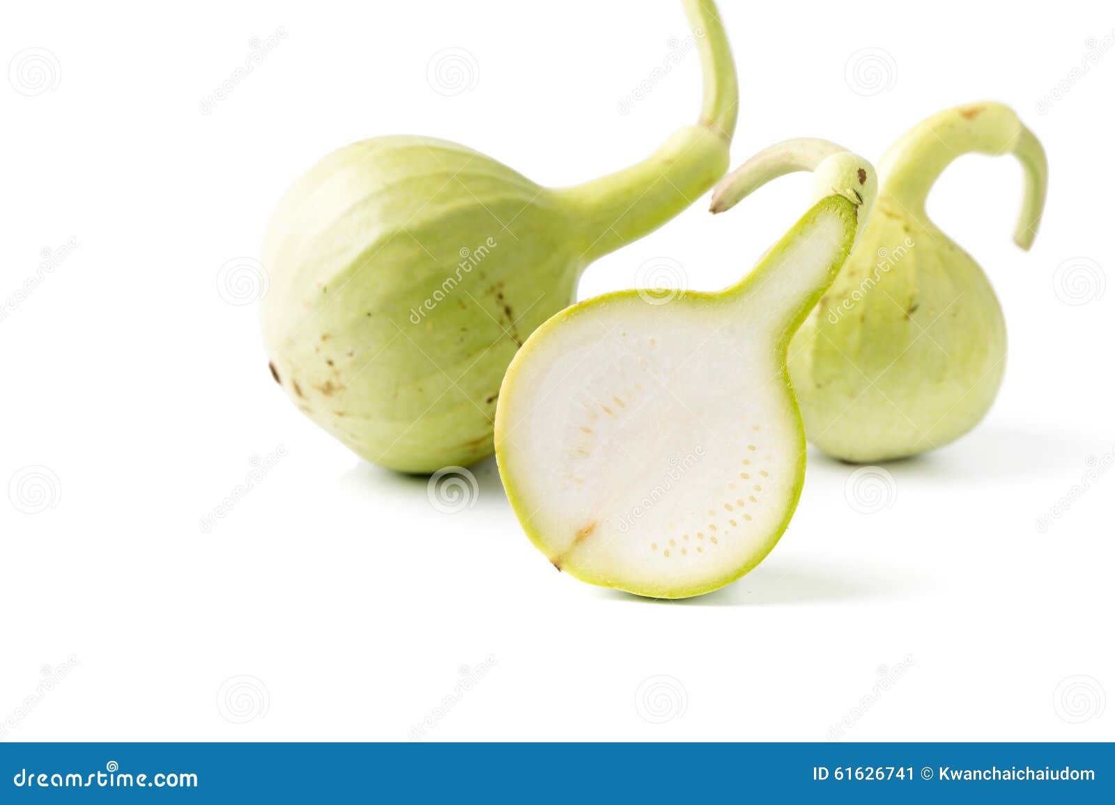 Slice Bottle Gourd Fruit Isolated Stock Image Image of freshness