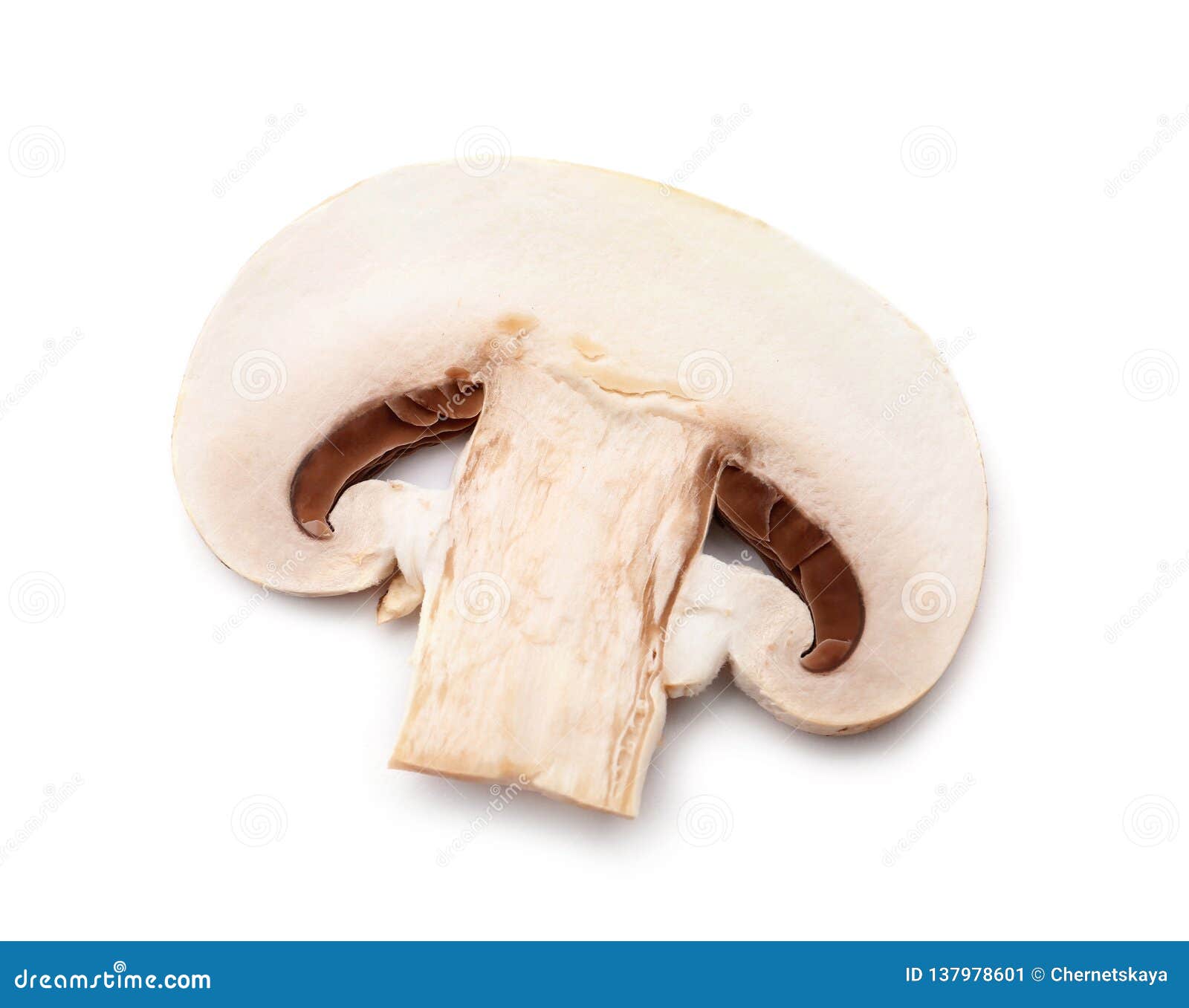 Slice Of Fresh Champignon Mushroom On White Closeup Stock Image Image Of Food Ingredient Slice Of Fresh Champignon Mushroom On White Closeup Stock Image Image Of Food Ingredient