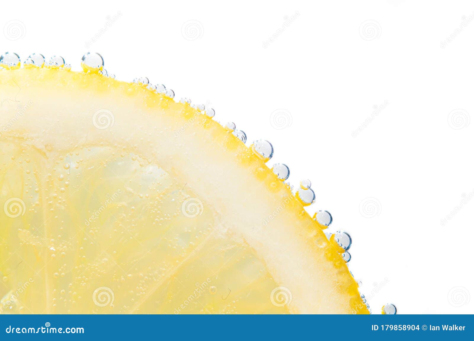 slice of fresh lemon with fizz bubbles