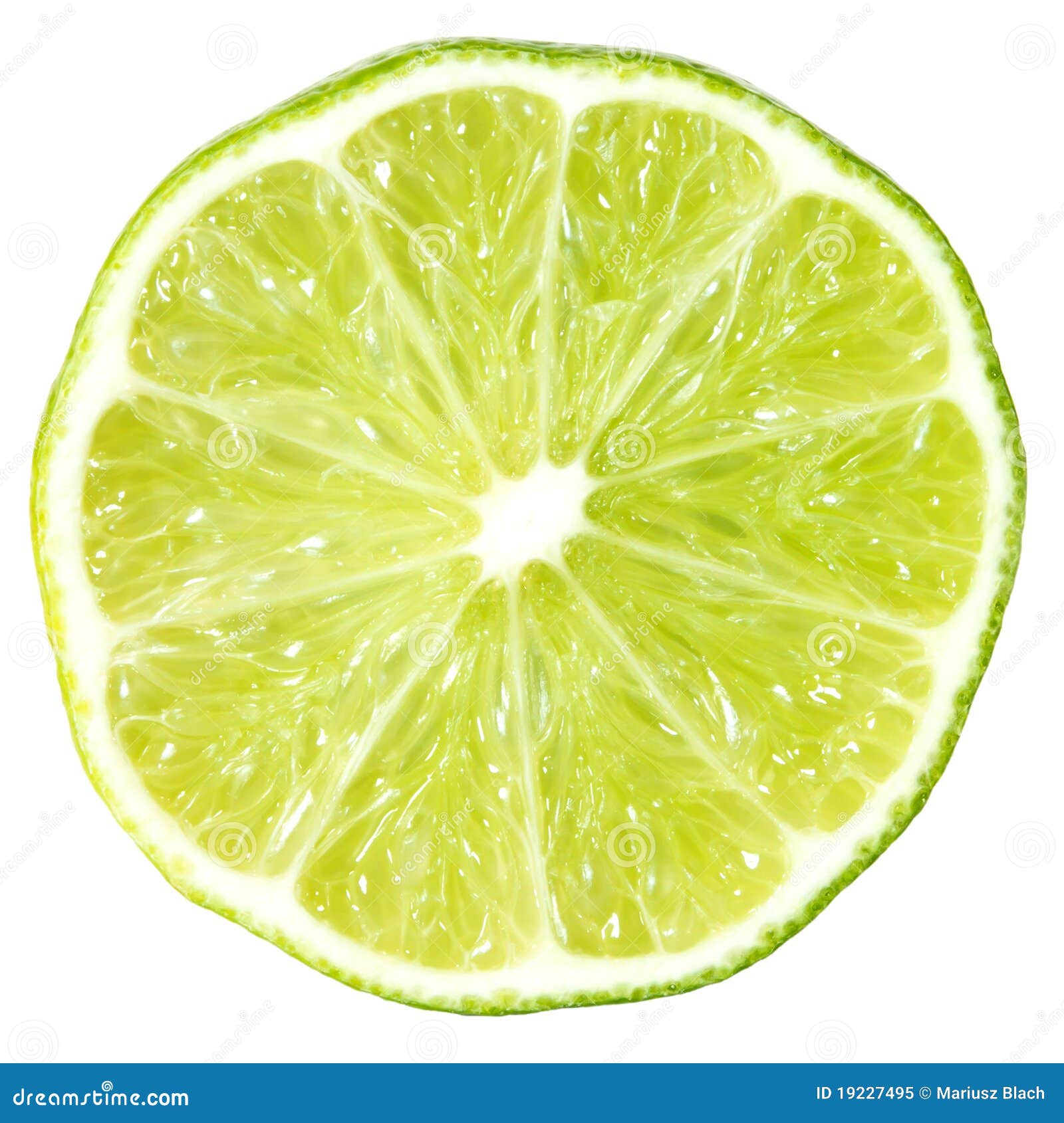 Slice of lime stock image. Image of health, lime, natural 19227495