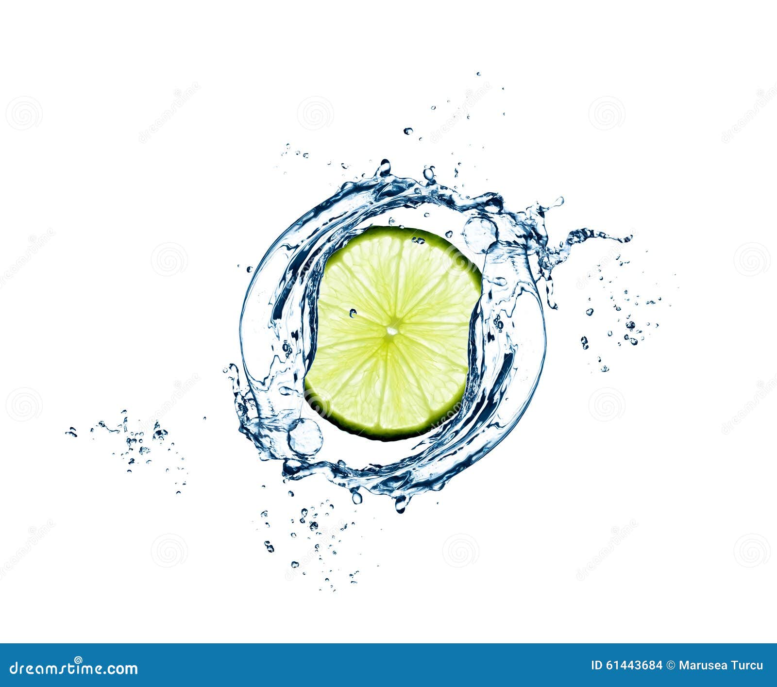 Slice of Lime in Water Splash Stock Photo Image of isolated, lime