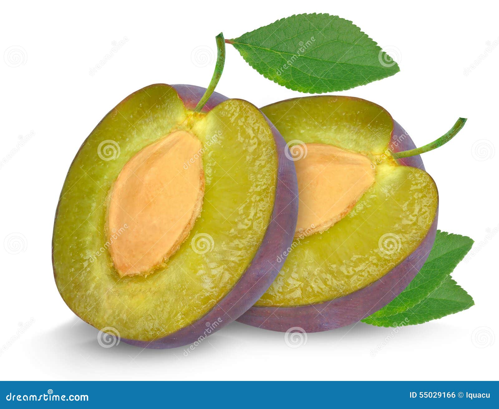 Slice plums stock photo. Image of nutrition, nature, delicious 55029166