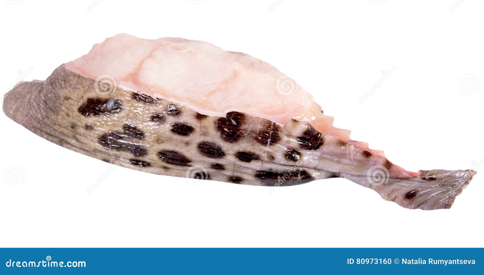 slice of wolffish