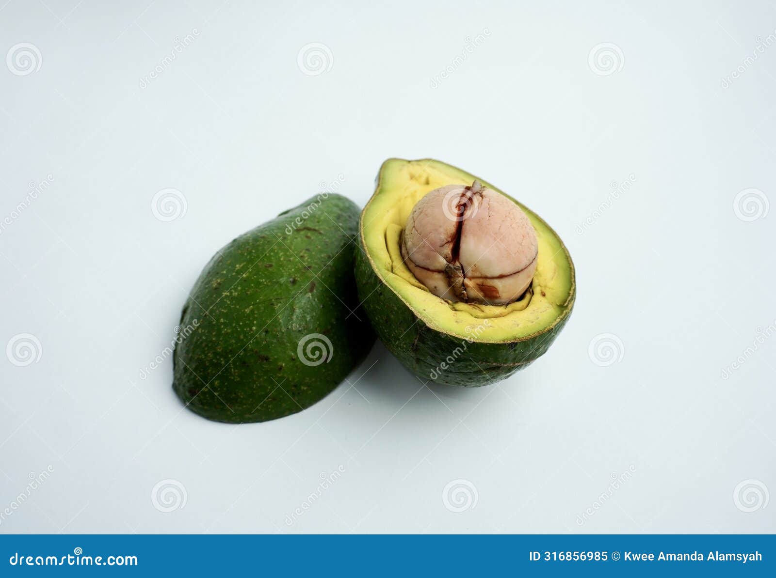Sliced in Half Unripe Avocado Fruit with Knife Marks Stock Image