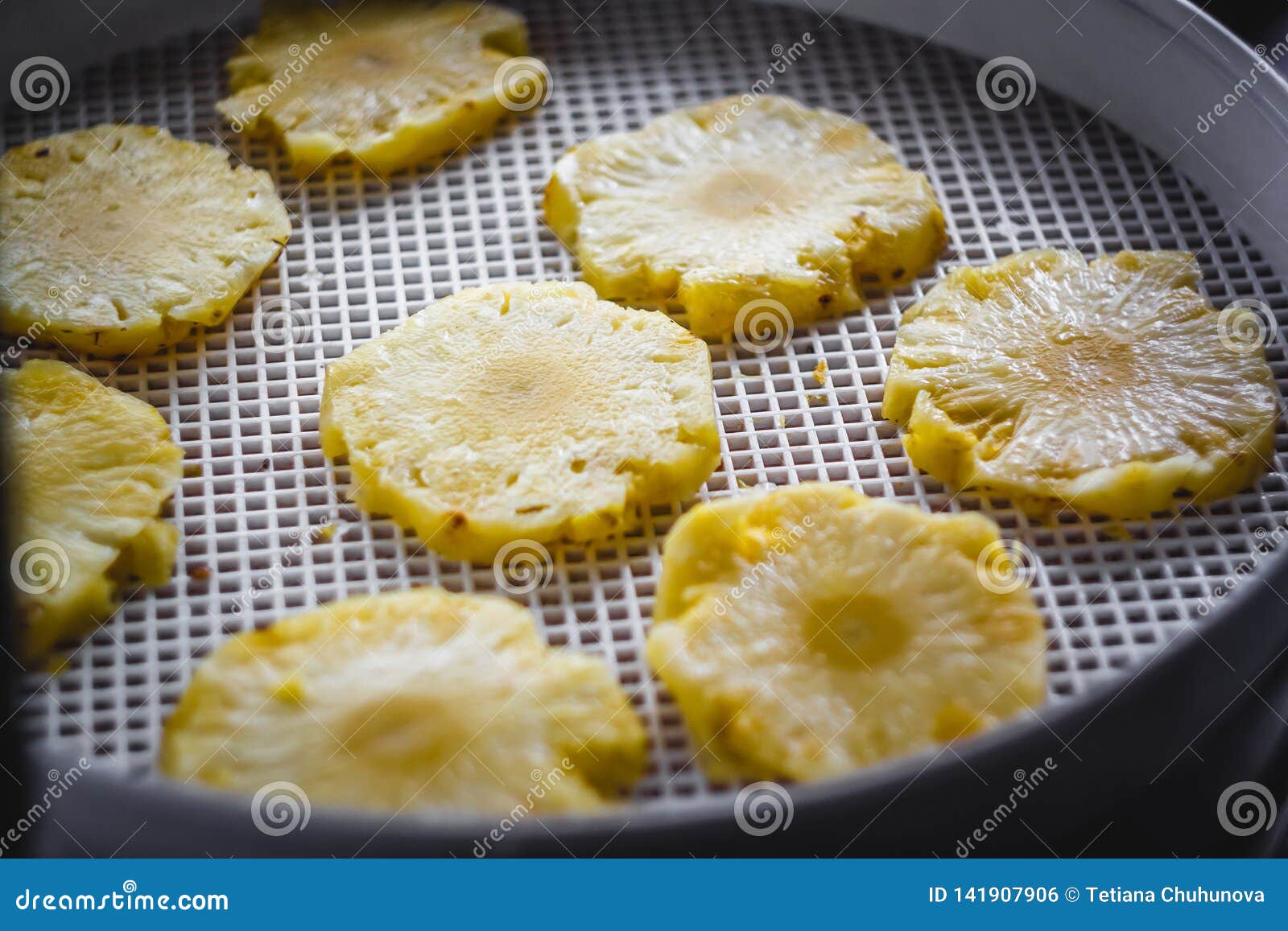 Sliced Round Pineapple in a Dehydrator Dryer, Closeup. View from Above