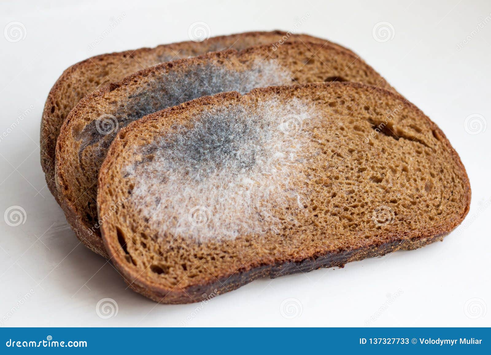 Slices of Black Bread, Covered with Mold. Mold on Bread_ Stock Image