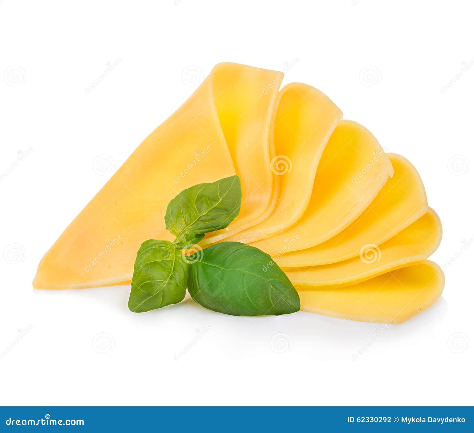 Slices of Cheese with Fresh Basil Leaves Closeup Isolated on a White