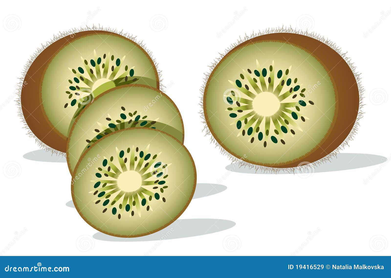 Slices of kiwi fruit stock vector. Illustration of healthy 19416529