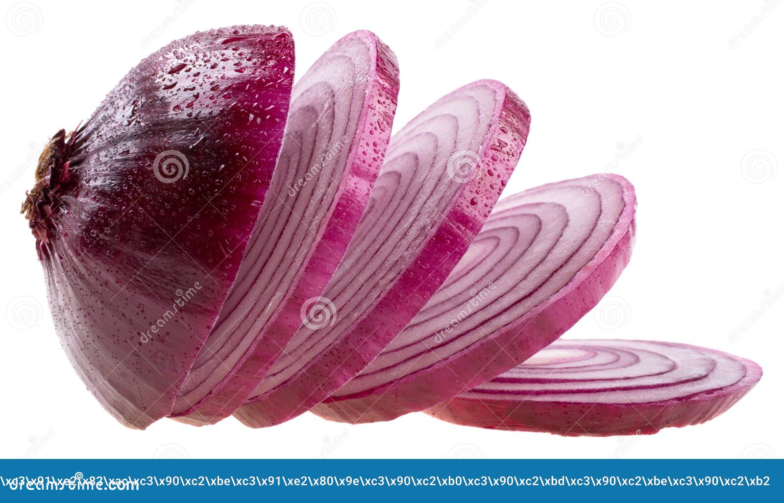 Slices of onion stock photo. Image of culinary, chopped 38408586