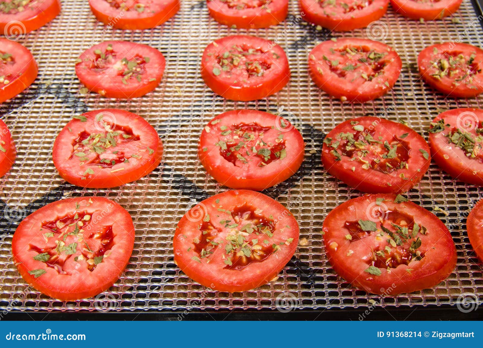 Slices of Tomatoes on Drying Rack Stock Photo Image of dried, plants