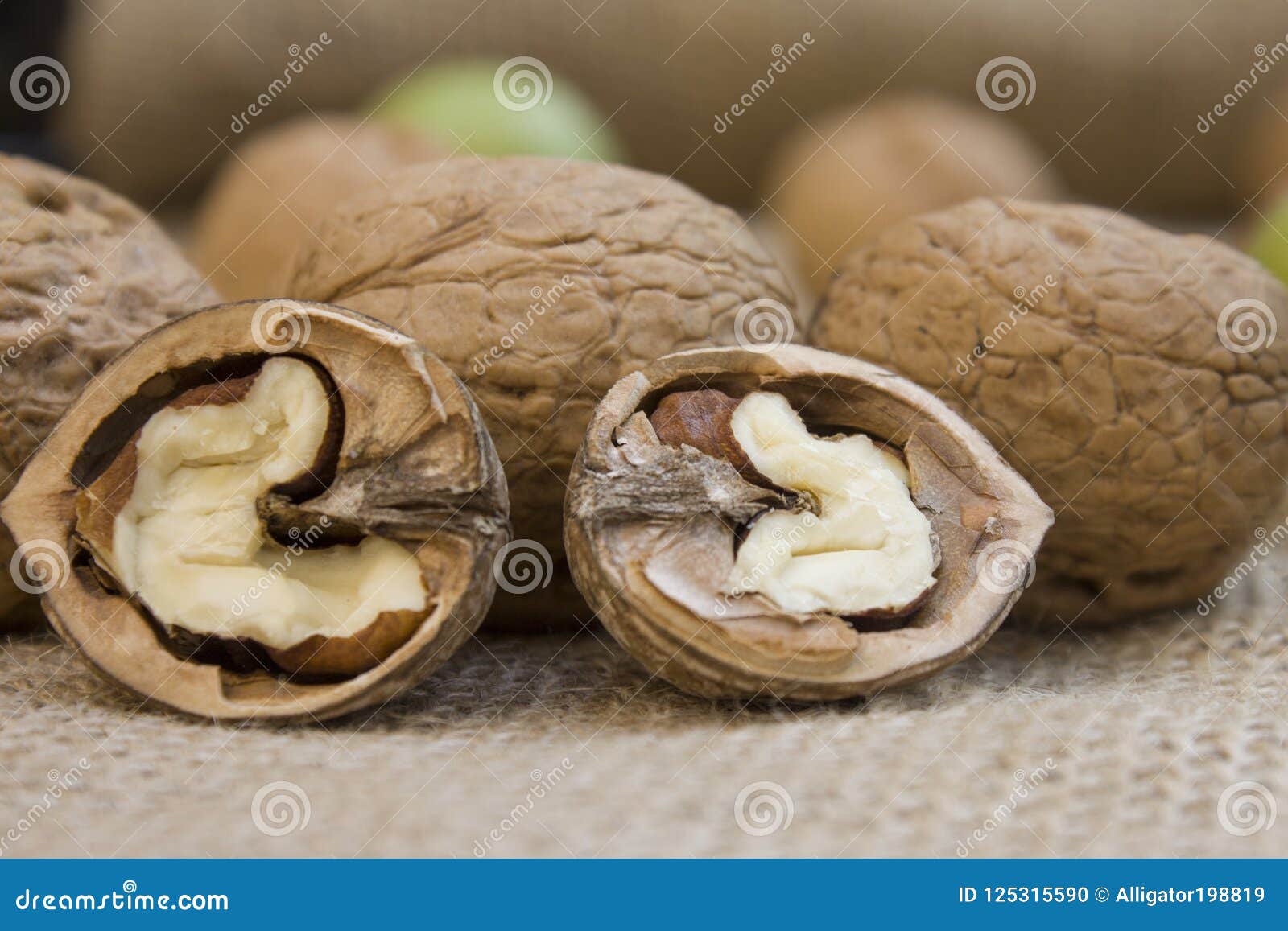 Slices of Walnut in the Pile with All Stock Photo Image of autumn