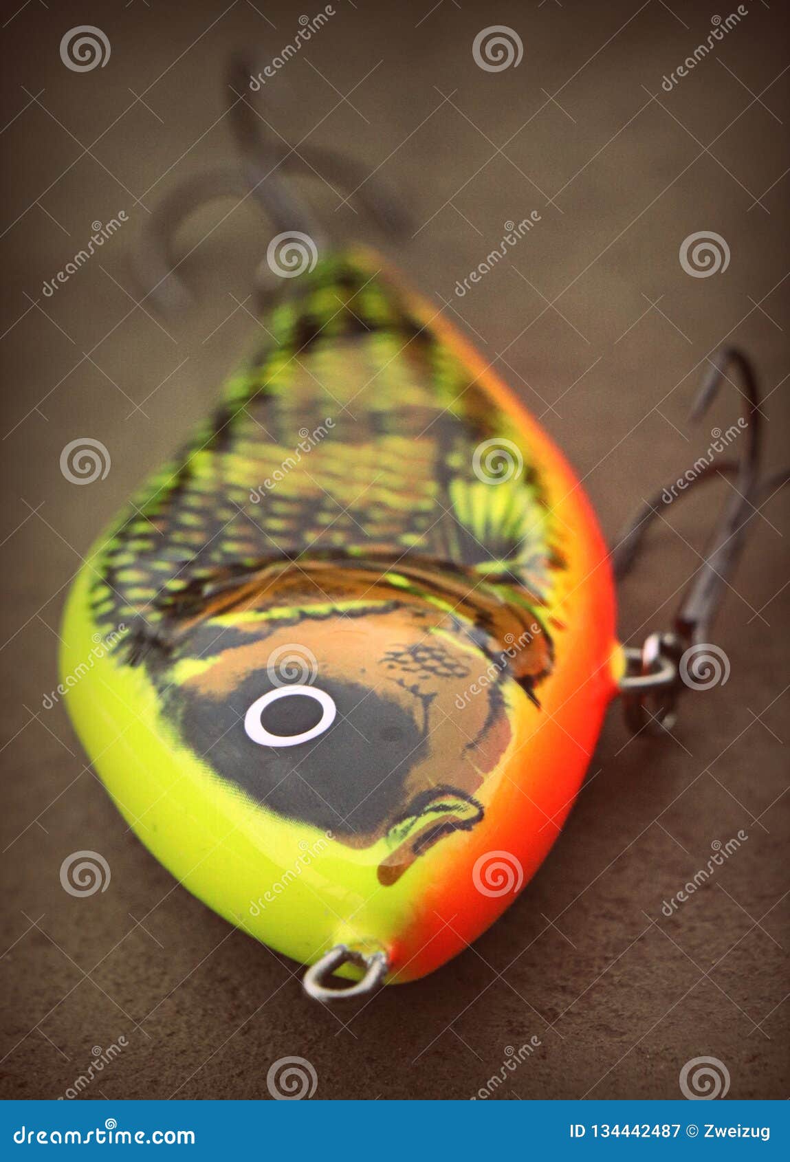 Salmo Slider Fishing Lure Plug for Pike and Muskie Stock Image - Image of  baitcasting, killers: 134442487