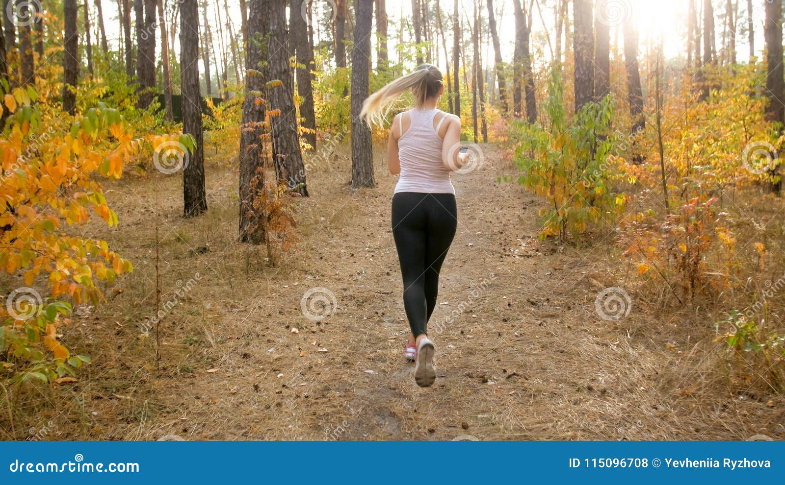 Slim Woman in Sport Legging Running in Park at Bright Sunny Morning ...