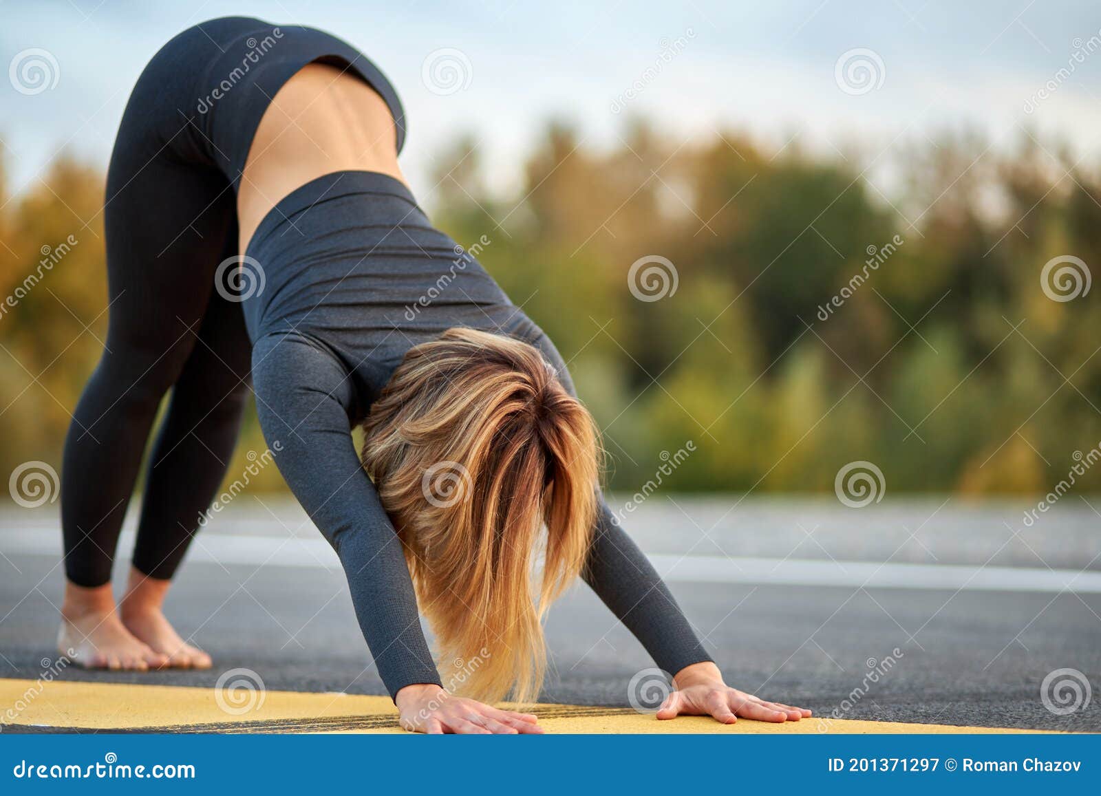 Yoga Girl Ko Jabardasti Xxx Com - Slim Young Woman Do Dog Pose, Practice Yoga Stock Image - Image of action,  athletic: 201371297