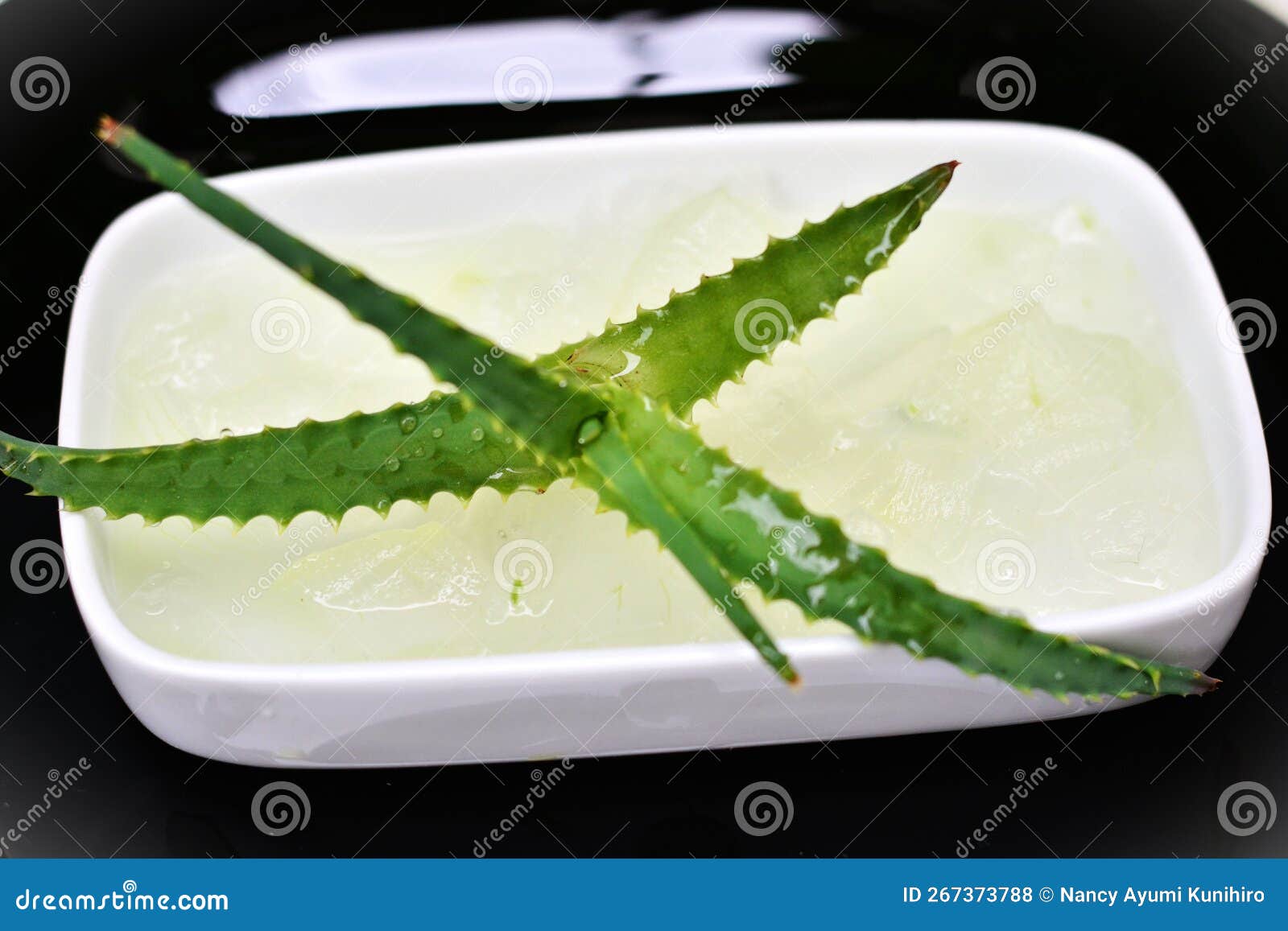 the aloe vera juice taken from the leaves in the bowl