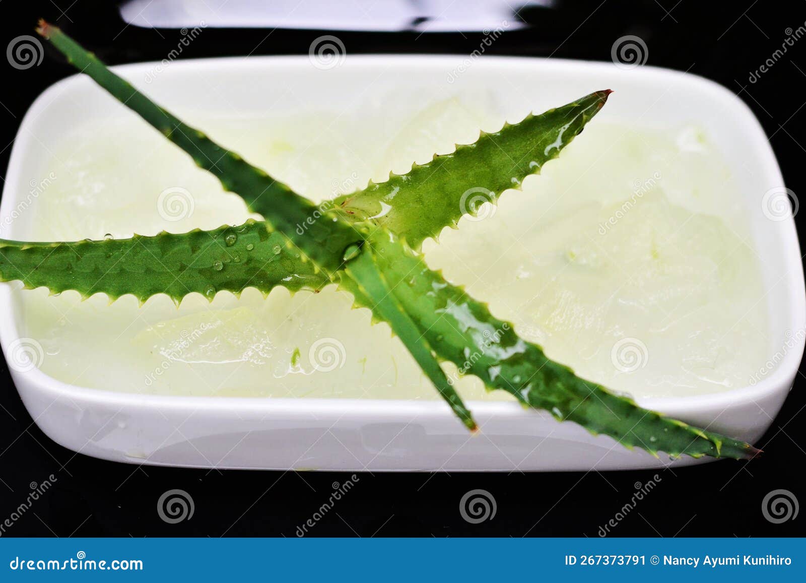 bowl with juice taken from aloe vera leaves