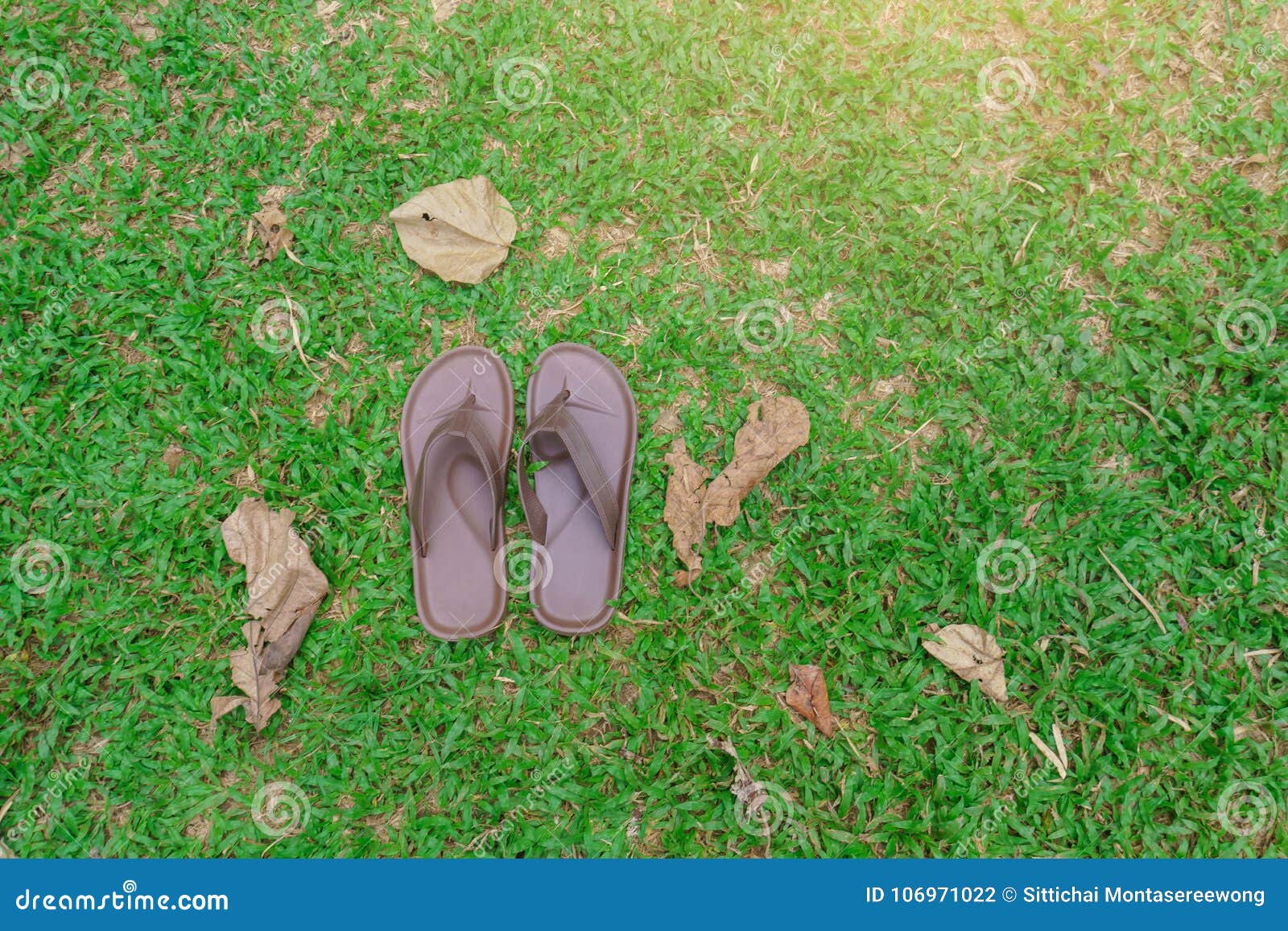 Slippers that Were Placed on the Green Grass. Stock Photo - Image of ...