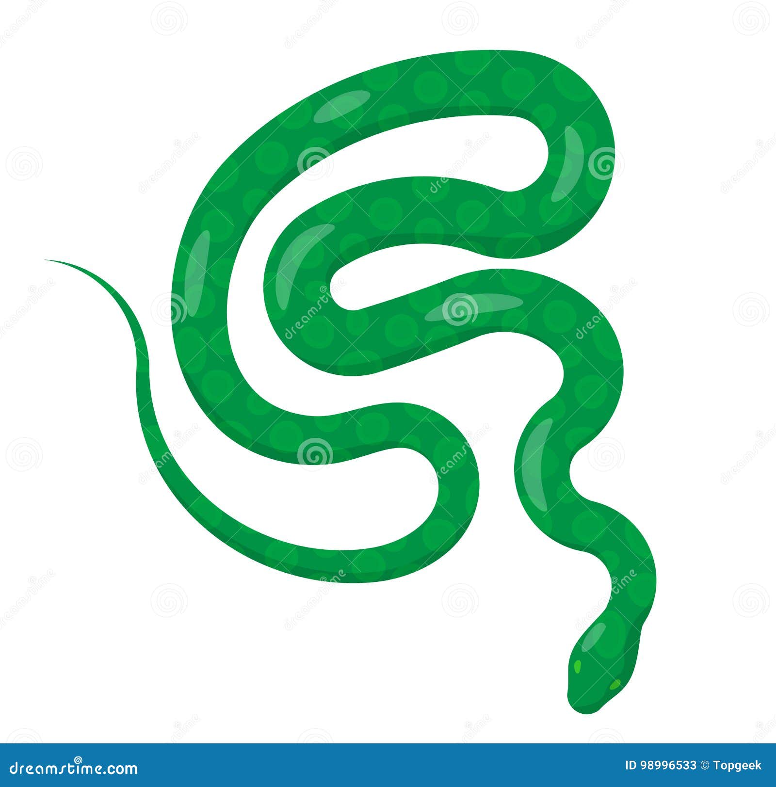 slither green python snake top view  icon