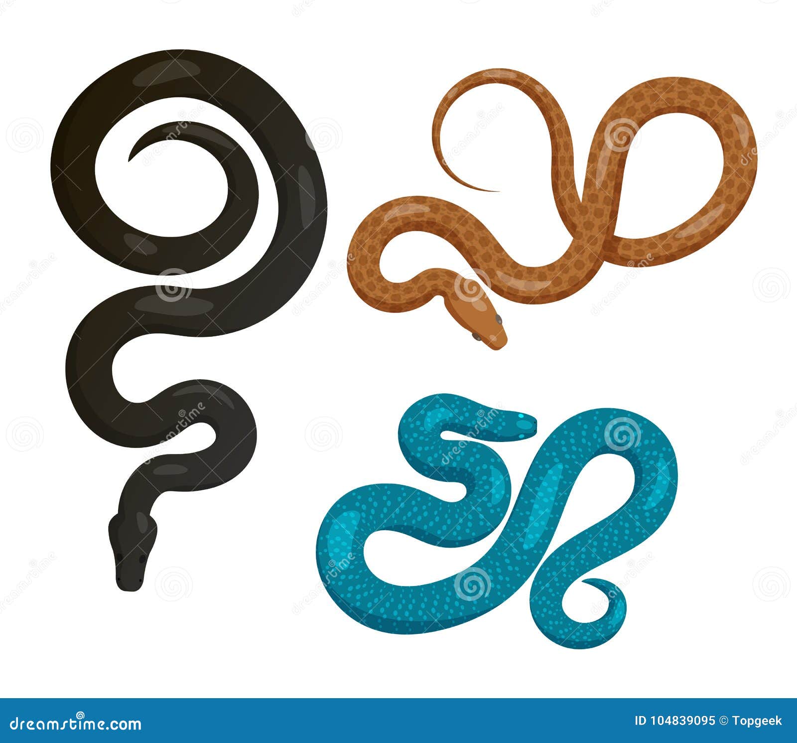 slither snakes top view  icons set