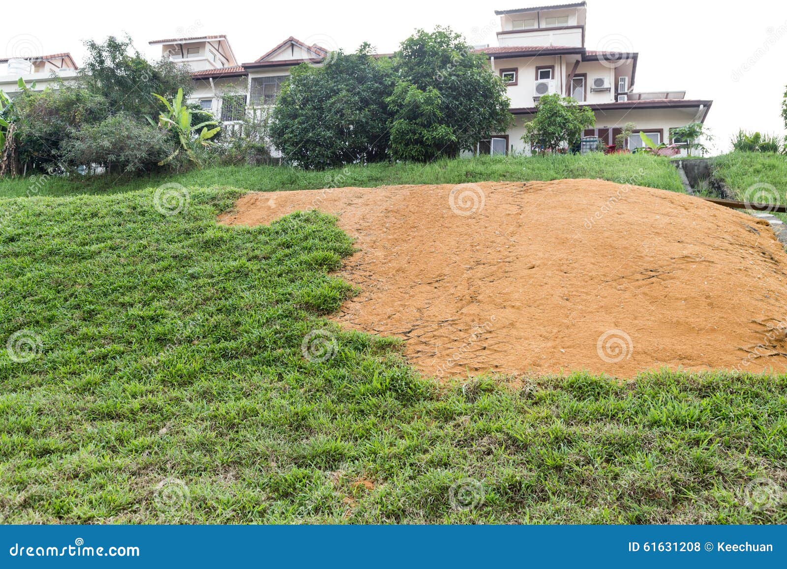 Slope Erosion with Grids and Grass Planted on Steep Slope Stock Photo