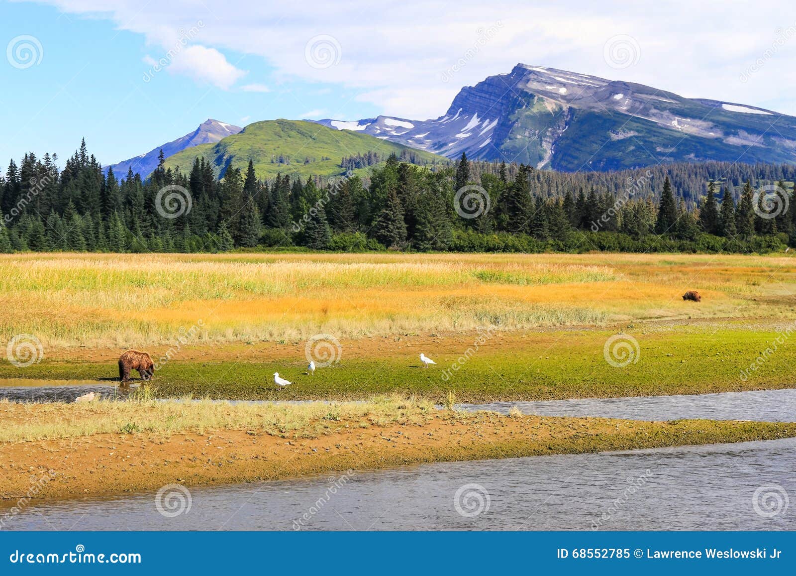 slope mountain lake clark alaska brown bears