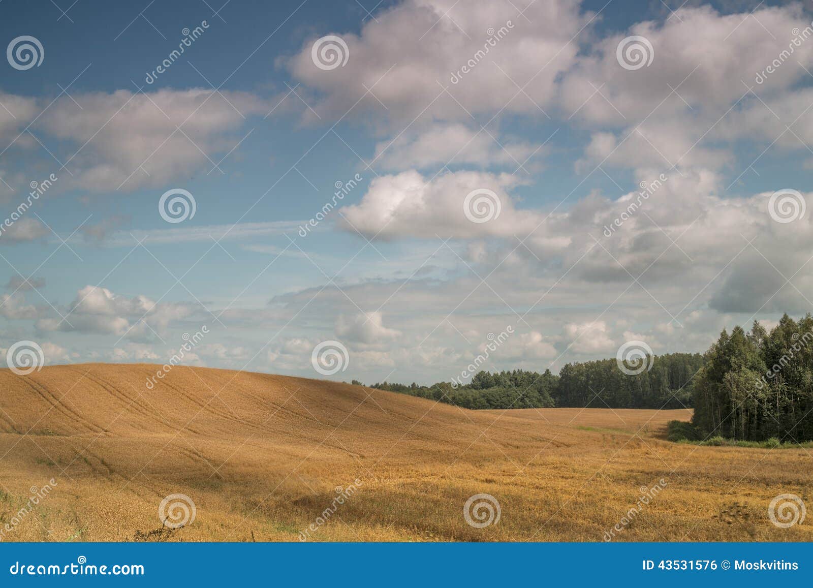 sloping montainous field in the country side with white beautiful clouds