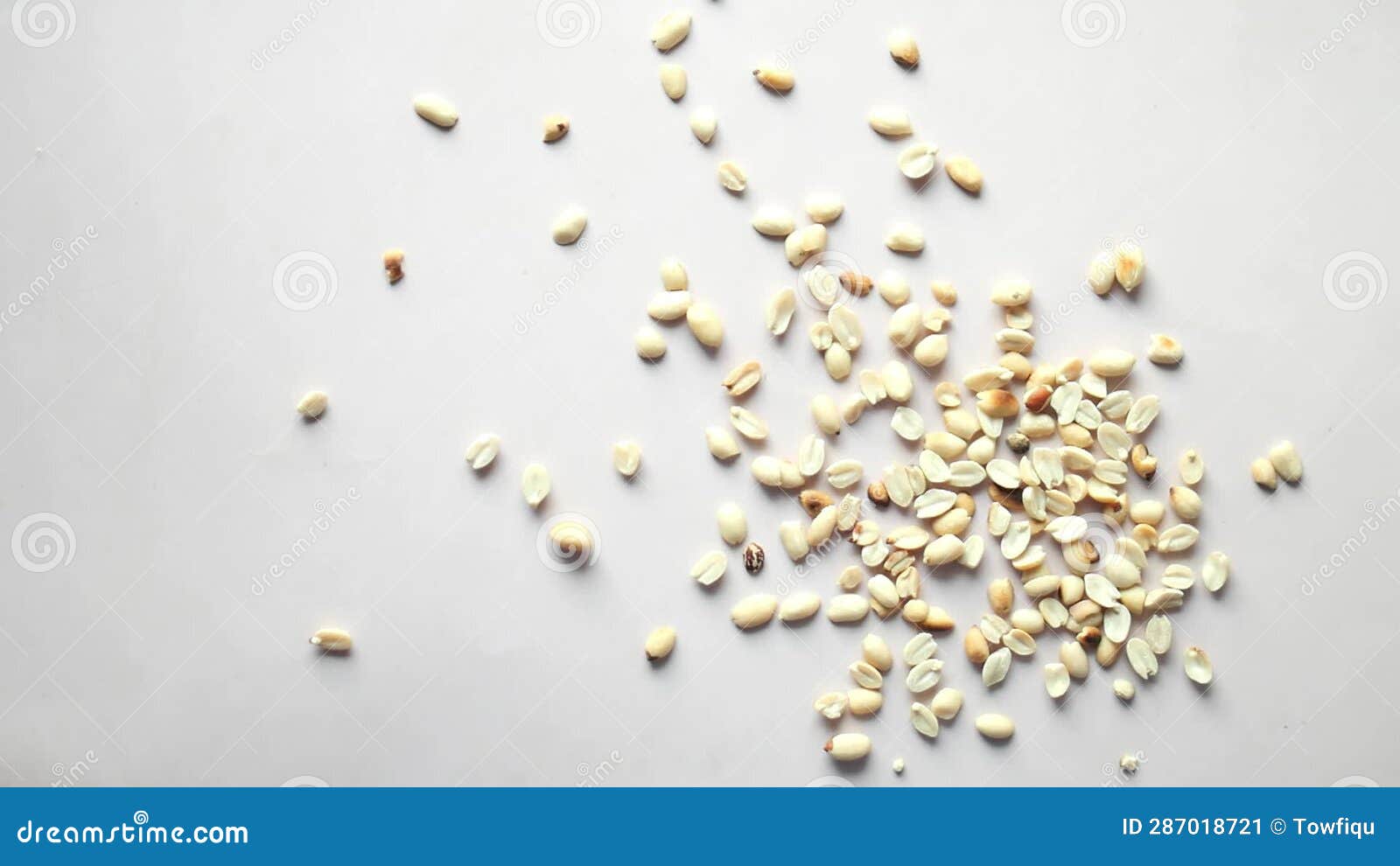Slow Motion of Peanuts Throwing on White Background Stock Video Video