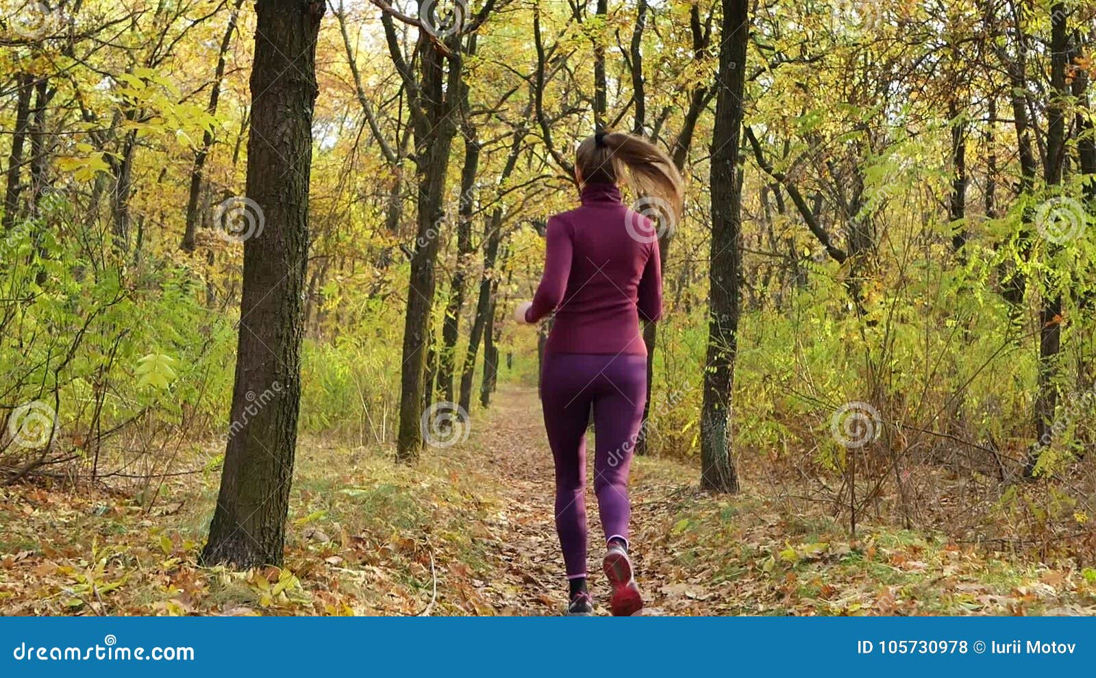 Slow Motion Running - Woman Runner Jogging on Autumn Forest Path. Fit ...