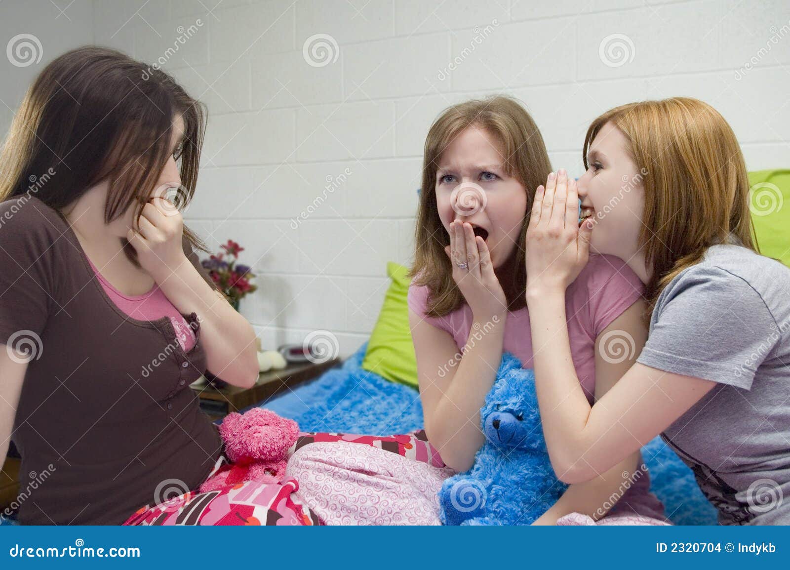 Slumber Party Gossip Stock Photo Image Of Fuzzy Blue 2320704 slumber-party-gossip-stock-photo-image-of-fuzzy-blue-2320704