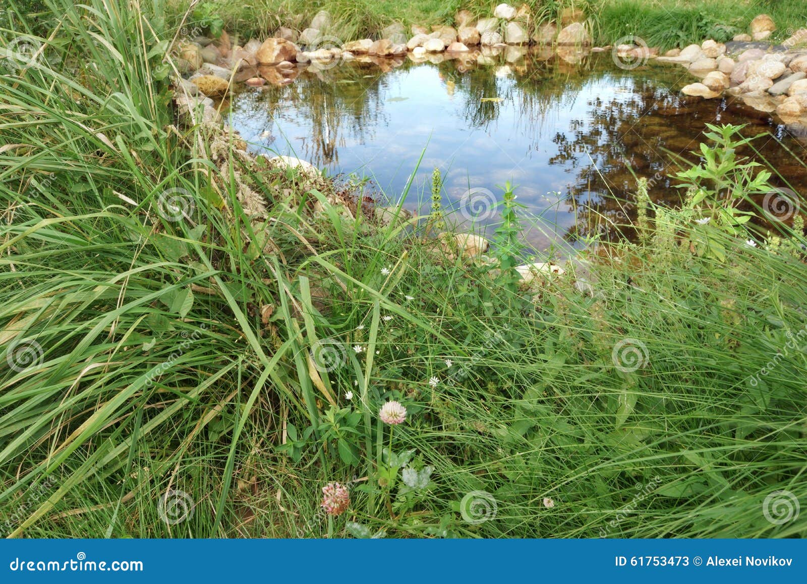 Small Artificial Decorative Pond on the Backyard in Summer Stock Image