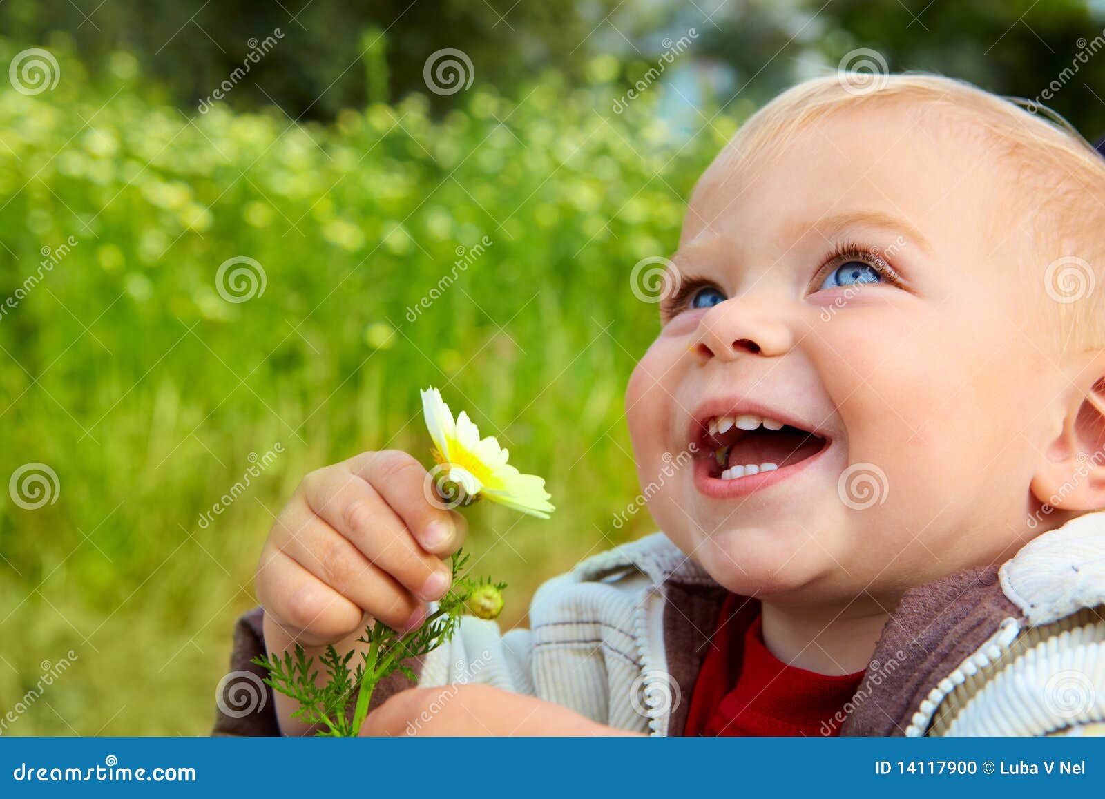 small baby laughing with daisy