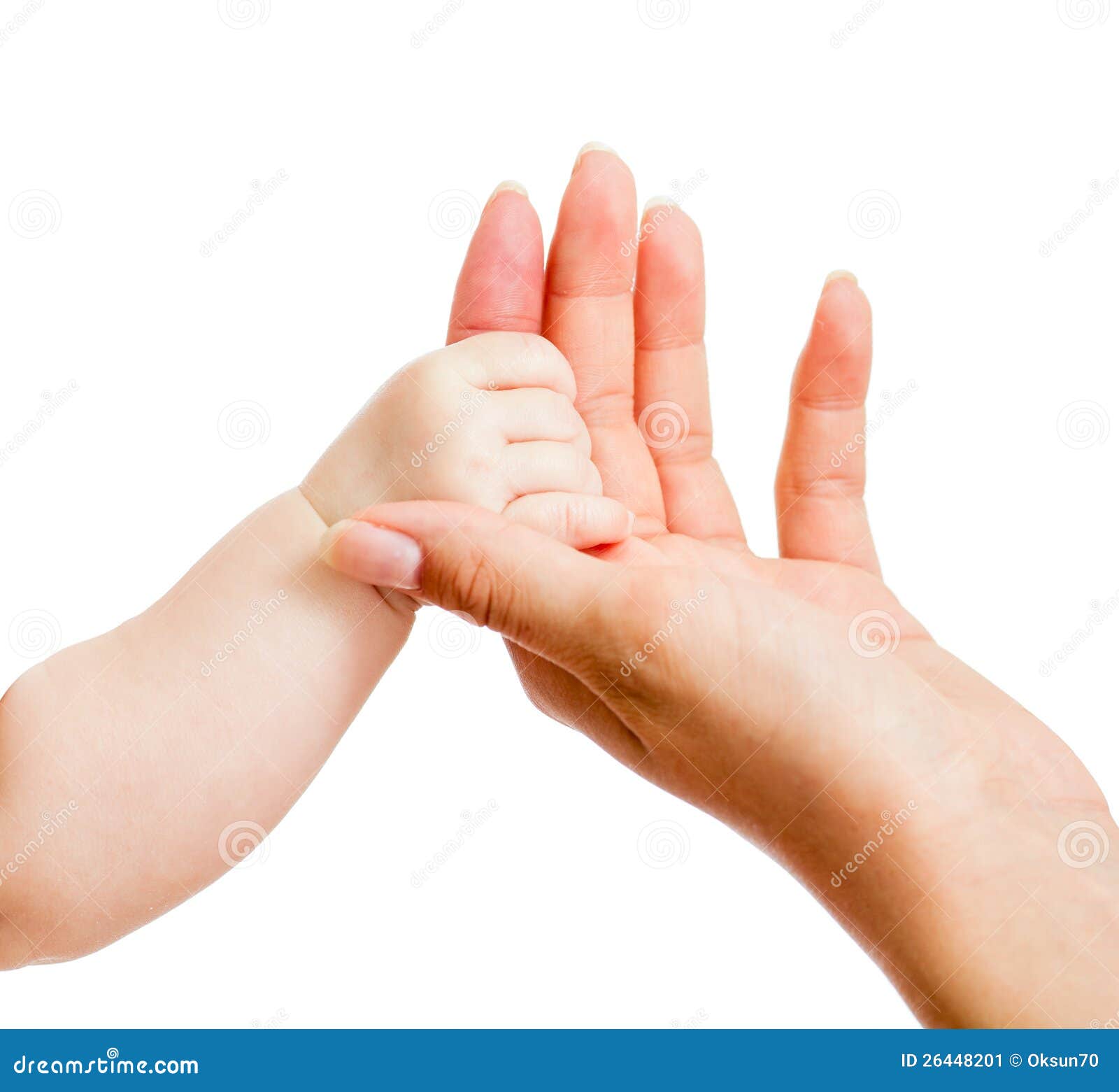 Download Small Baby And Mother Hands Isolated On White Stock Image Image Of Human Cling 26448201