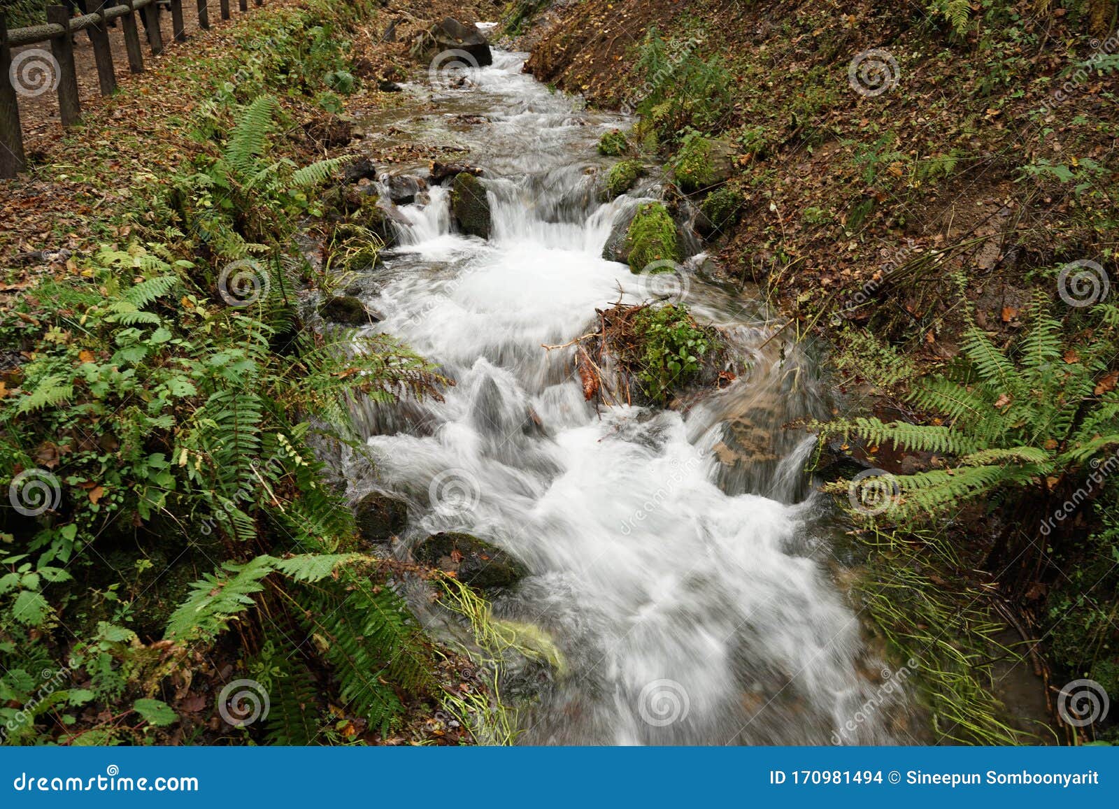 Small Beautiful Waterfall At Shiraito Waterfalls In Karuizawa Japan Stock Photo Image Of Landsmark Japan Small Beautiful Waterfall At Shiraito Waterfalls In Karuizawa Japan Stock Photo Image Of Landsmark Japan